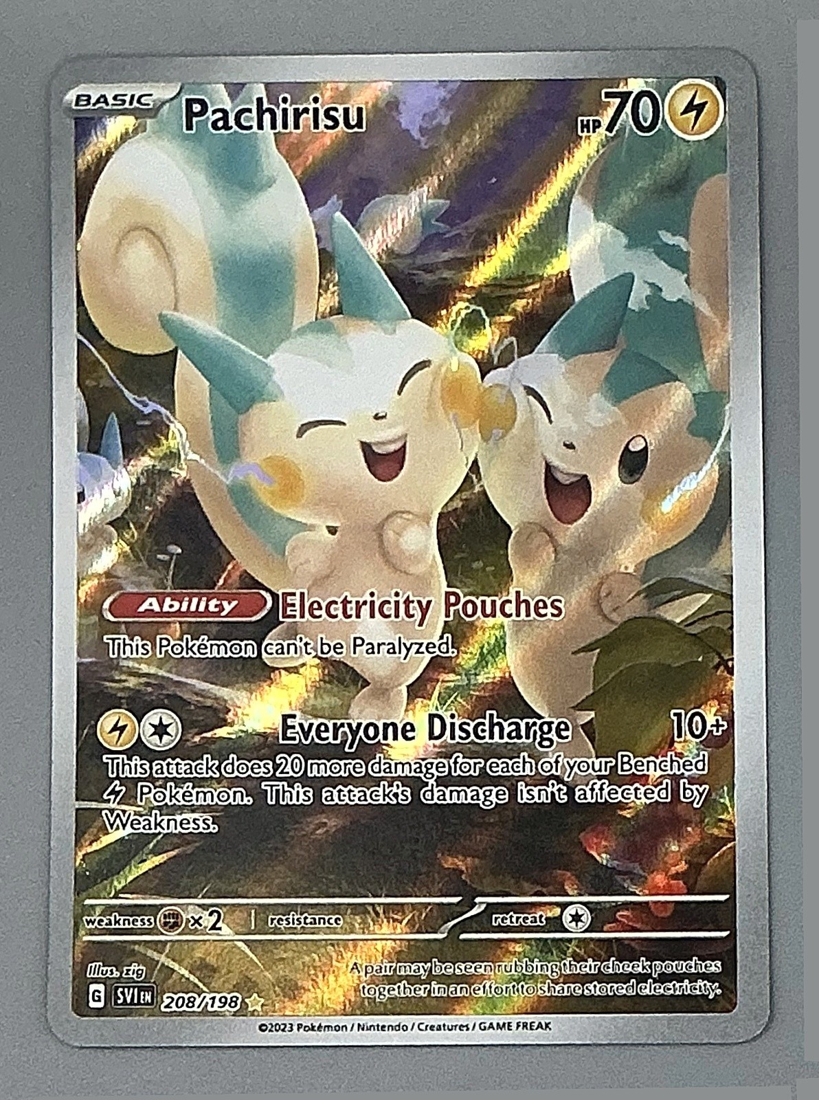 Pachirisu 208/198 Scarlet Violet 2023 Pokemon TCG NM