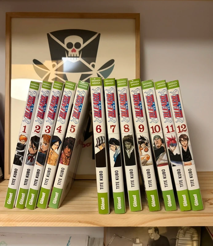 Lot manga BLEACH 1-12