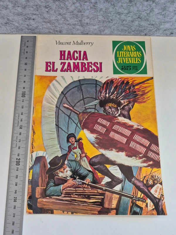 Cómic Joyas Literarias Juveniles 49. Vincent Mulberry. Hacia el Zambesi