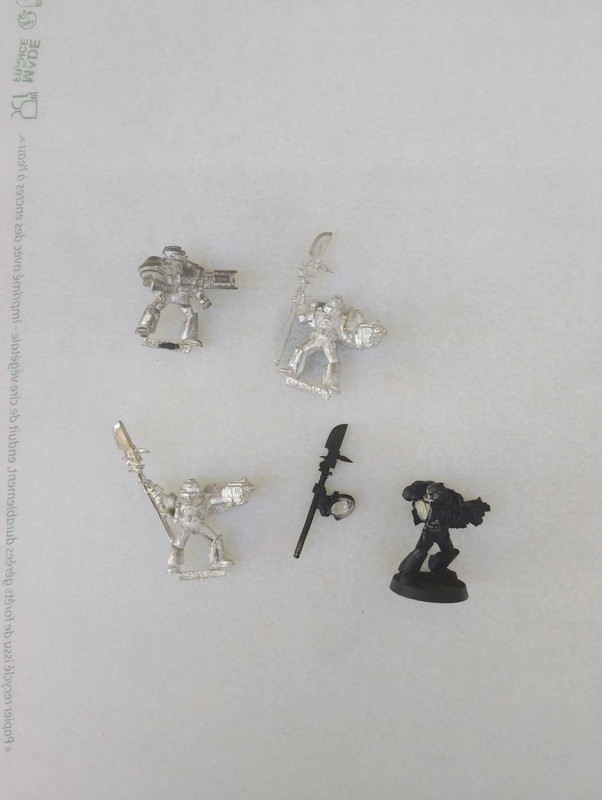 Grey knights