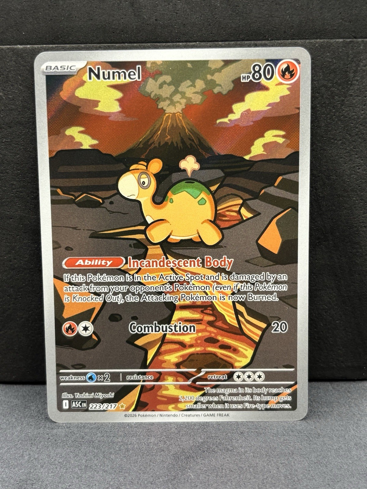 Numel 223/217 Illustrazione Rara, Eroi Ascesi, Full Art Holo, Pokemon TCG