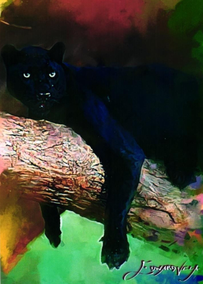 Black Panther 2024 Autentico Artista Firmato Edizione Limitata Stampa Card 26 di 50