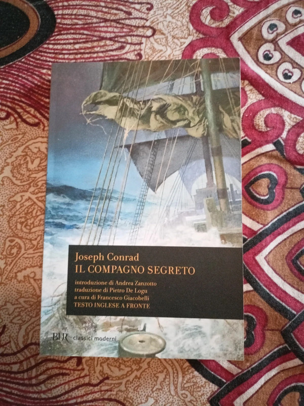 Il compagno segreto