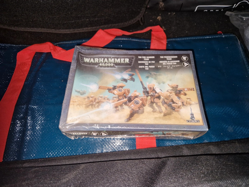 Warhammer 40.000: Tau Fire Warrior Team