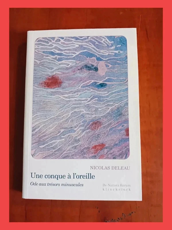 Une conque à l'oreille - Ode aux trésors minuscules 9782252047552