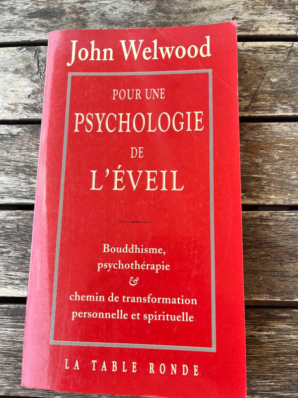Pour une psychologie de l’éveil