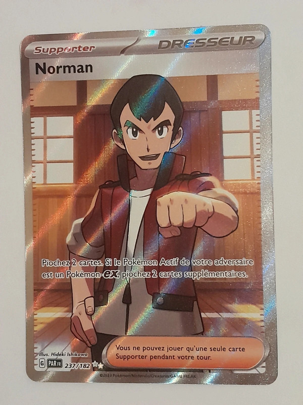 Carte Pokémon Norman 237/182 PAR