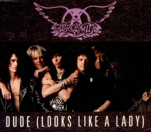 Dude (looks Like A Lady) - CD - Single Import - **Excellent Condition**
