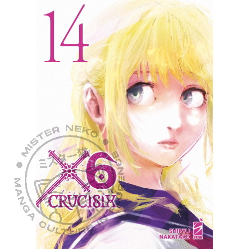 X6 Crucisix n° 14