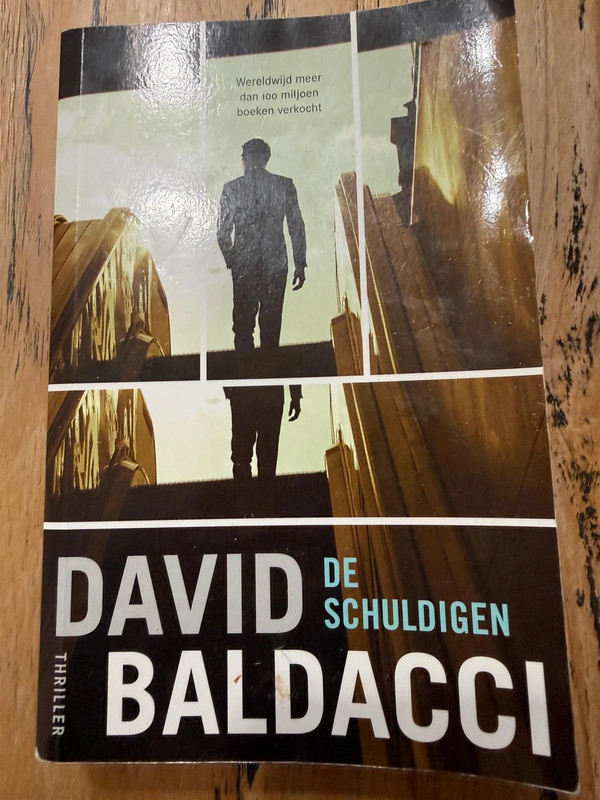 Boek: De schuldige