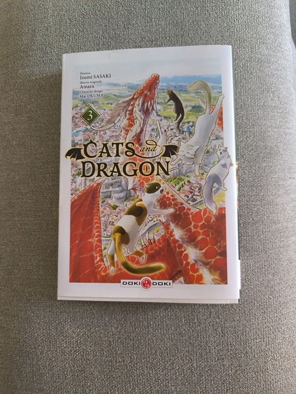 Cat and Dragon