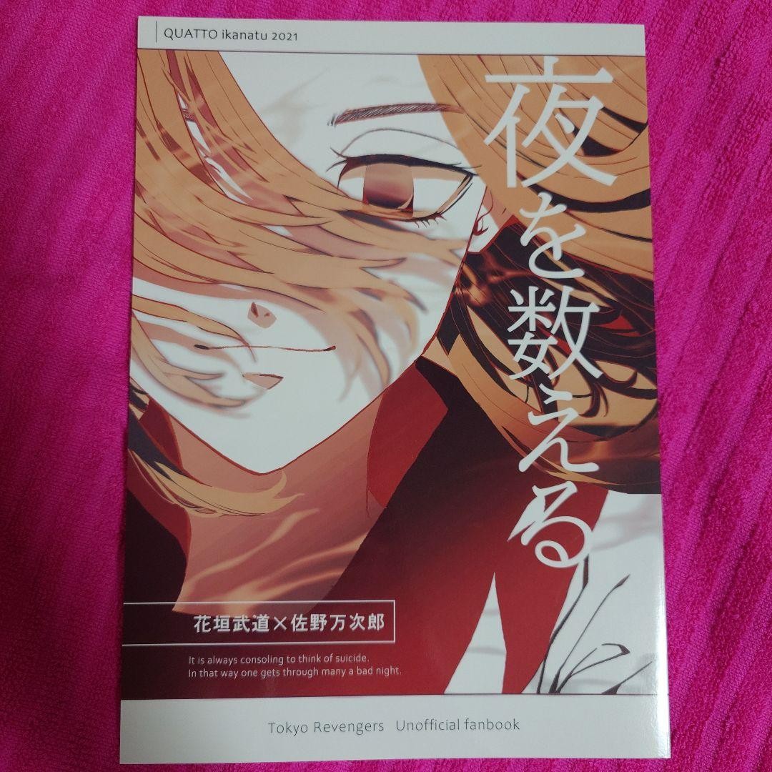 Tokyo Revengers Doujinshi Takemai
