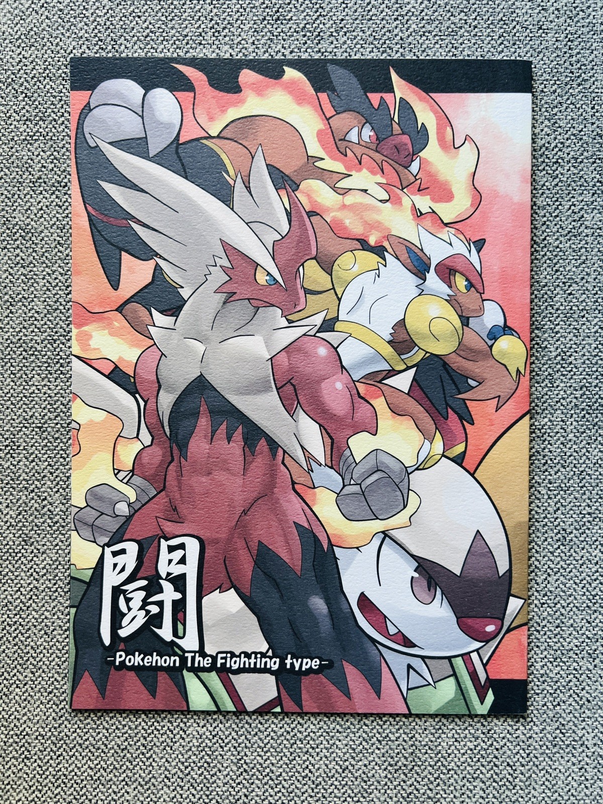 Rare Blaziken & Infernape Doujinshi Japan F/S Exclusive Pokemon Book