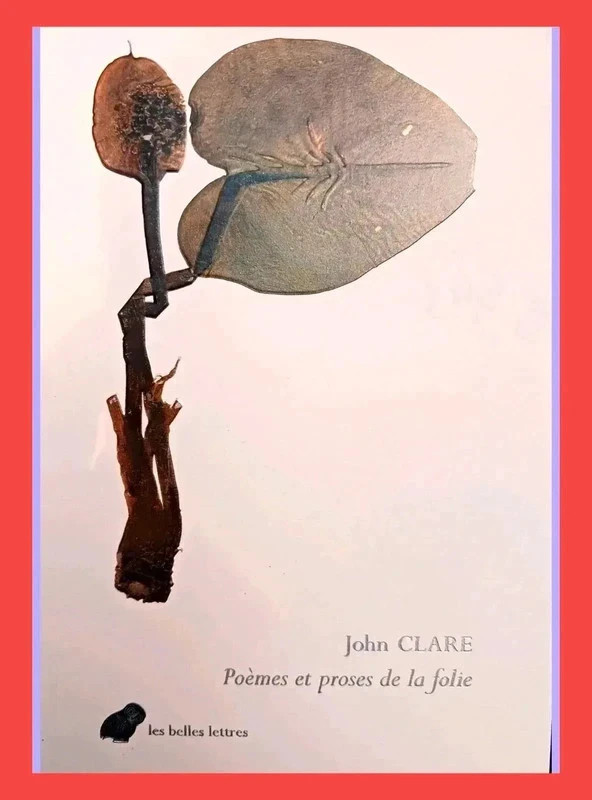 Poèmes et proses de la folie - John Clare 9782251452364