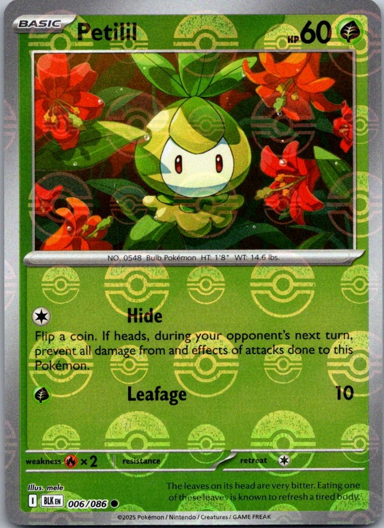 Petilil (modello Poke Ball) 006/086 Holo comune bullone nero Pokemon quasi nuovo