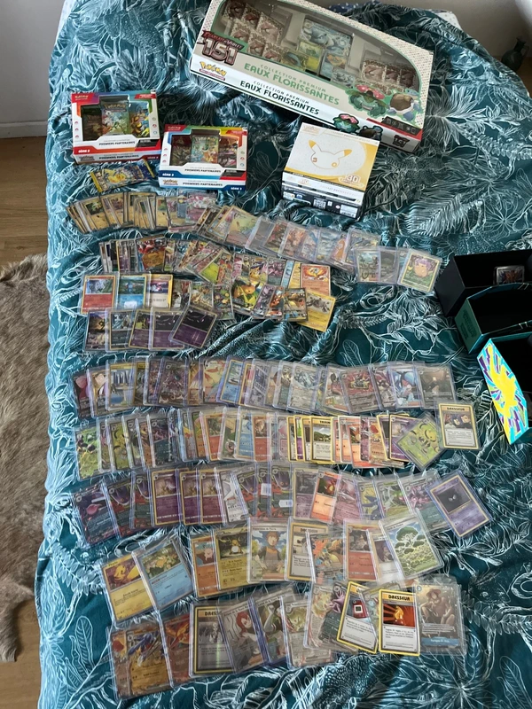 Collection Pokémon
