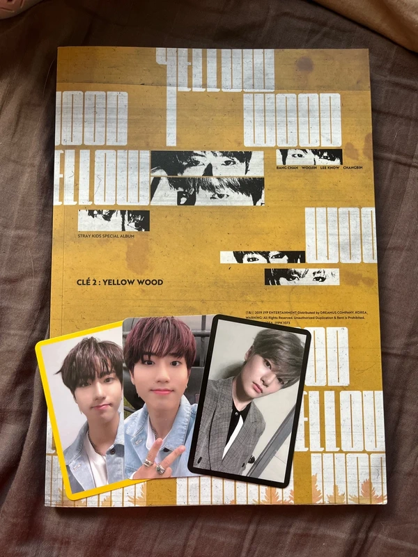 Album stray kids