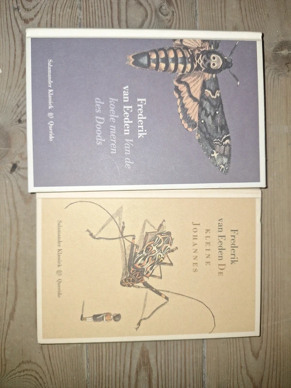 Frederik van Eeden, De kleine Johannes + Van de koele meren des doods