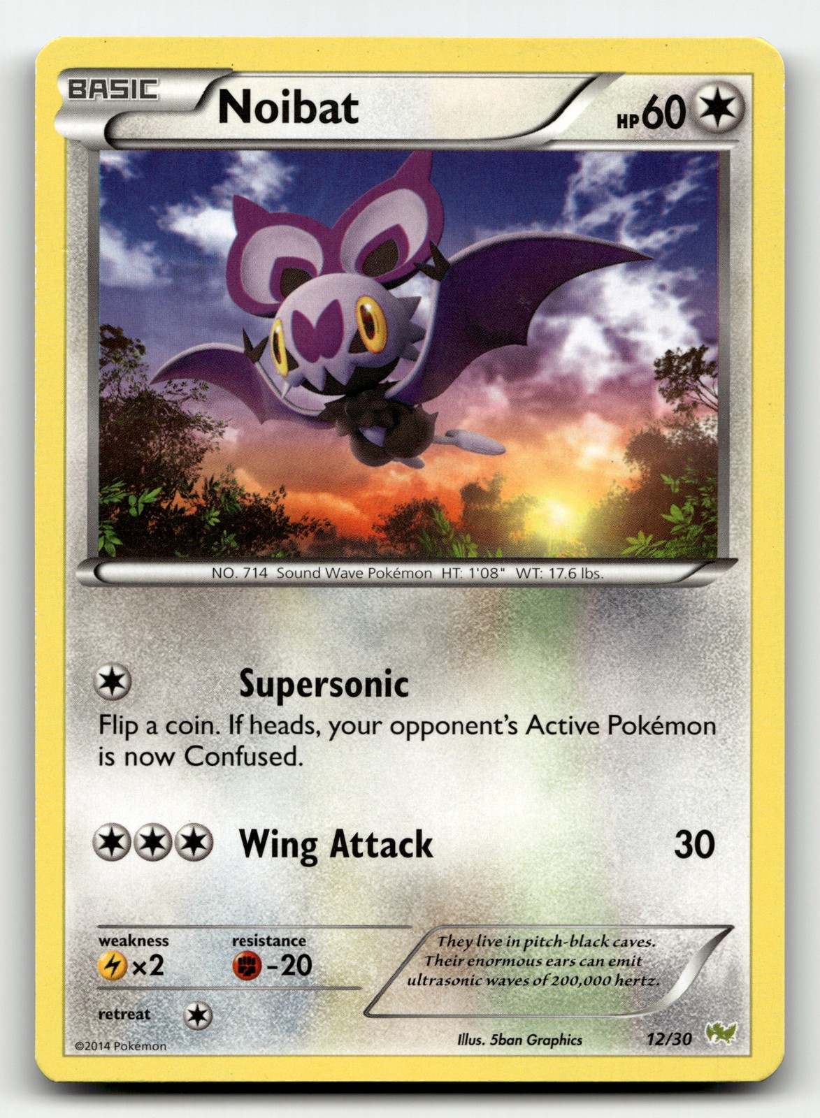 Noibat 12/30 XY trainer Kit (Noivern) Common Pokemon TCG [LP]