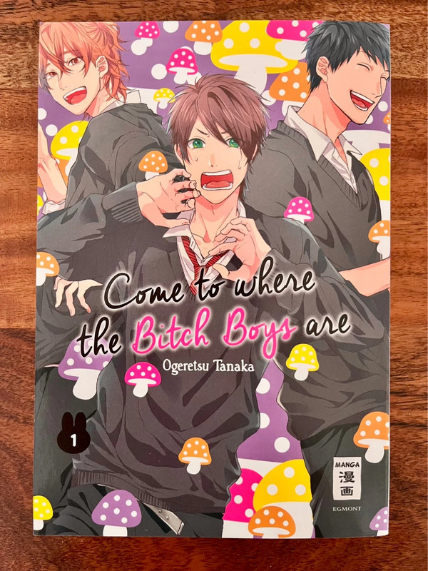 Come To Where The Boys Are Band 1 Manga von Ogeretsu Tanaka