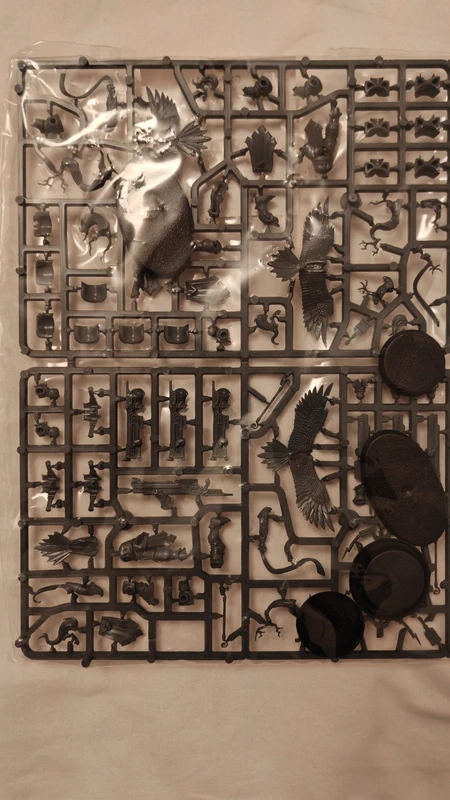 Vanguard-Raptors et Aetherwings - Stormcast Warhammer Age of Sigmar