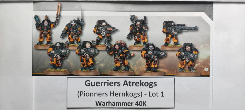 10 Guerriers atrekogs (Pionniers Hernkogs) - Lot 1 - 40K