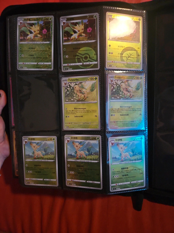 Pokemon Folipurba evoli set