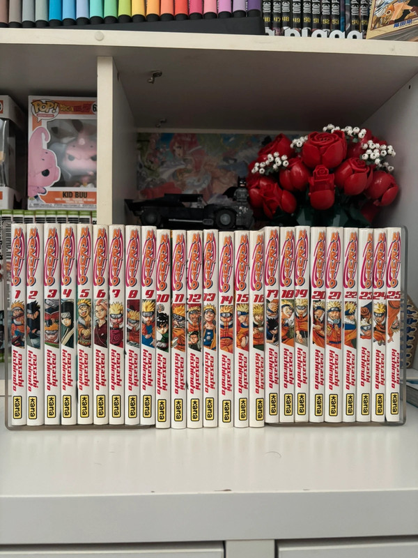Manga Naruto (1-25)