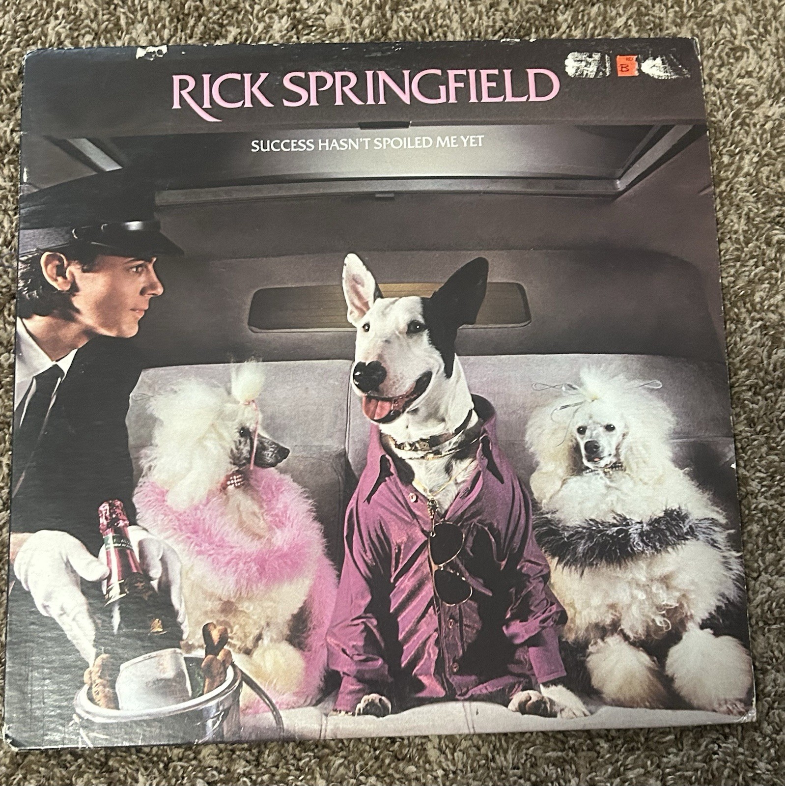 Rick Springfield Success Hasn't Spoiled Me Yet 12" Black Vinyl LP AFL1-4125