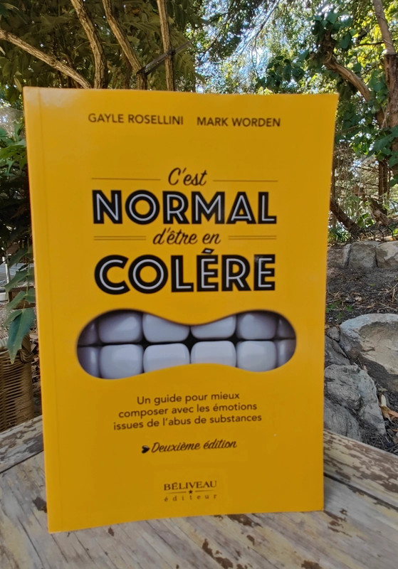 C’est normal d’être en colère : Un guide pour mieux composer avec les émotions issues de l’abus de