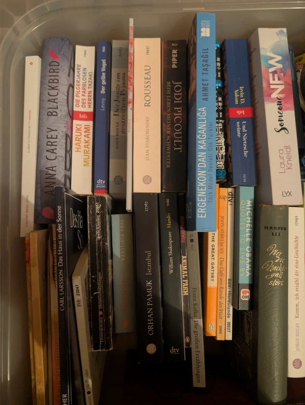Diverse Bücher