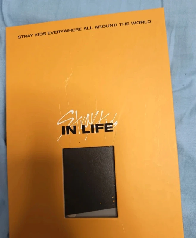 Álbum Stray Kids In life