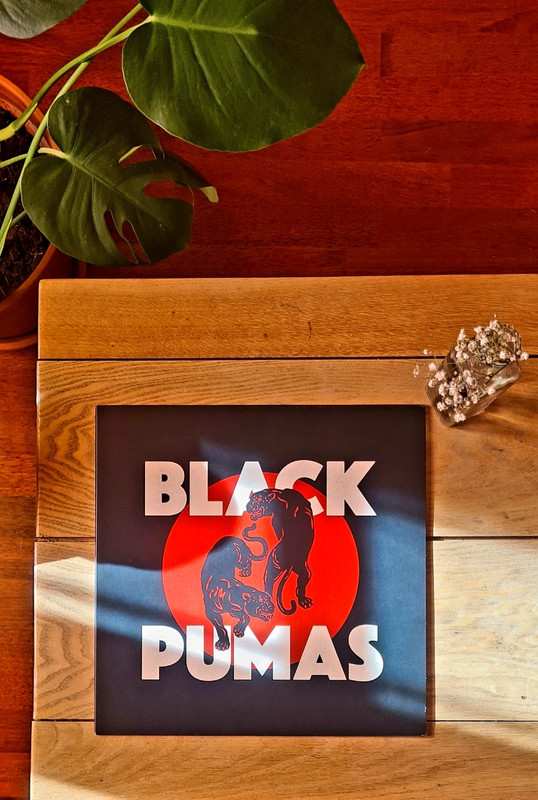 Black Pumas Vinyle