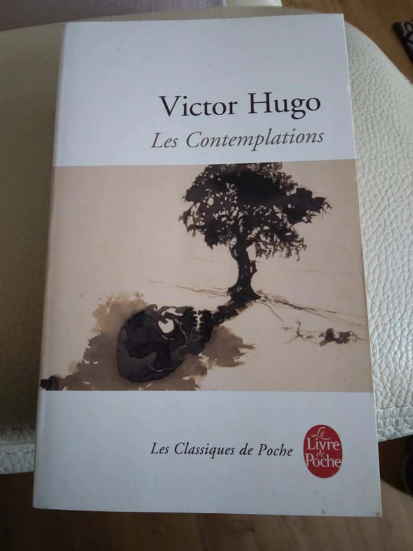 Victor hugo