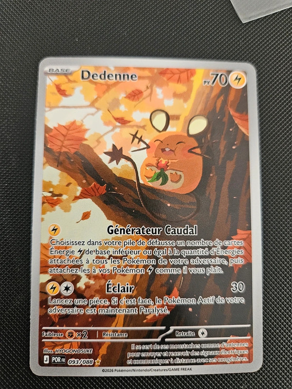 Dedenne equilibre parfait