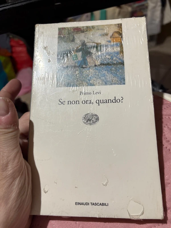 Libro PrimoLevi -se non ora, quando?