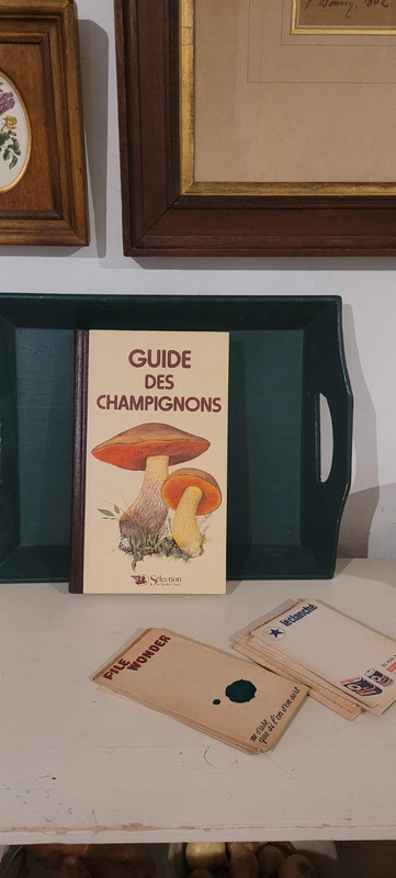 Guide des champignons