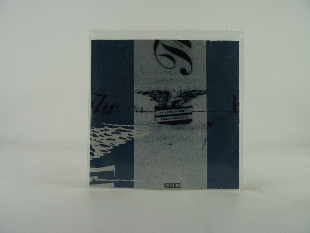 VARIOUS ARTISTS THE EAGLE IS THE MOST POPULAR BIRD (464) 17 Track Promo CD Album