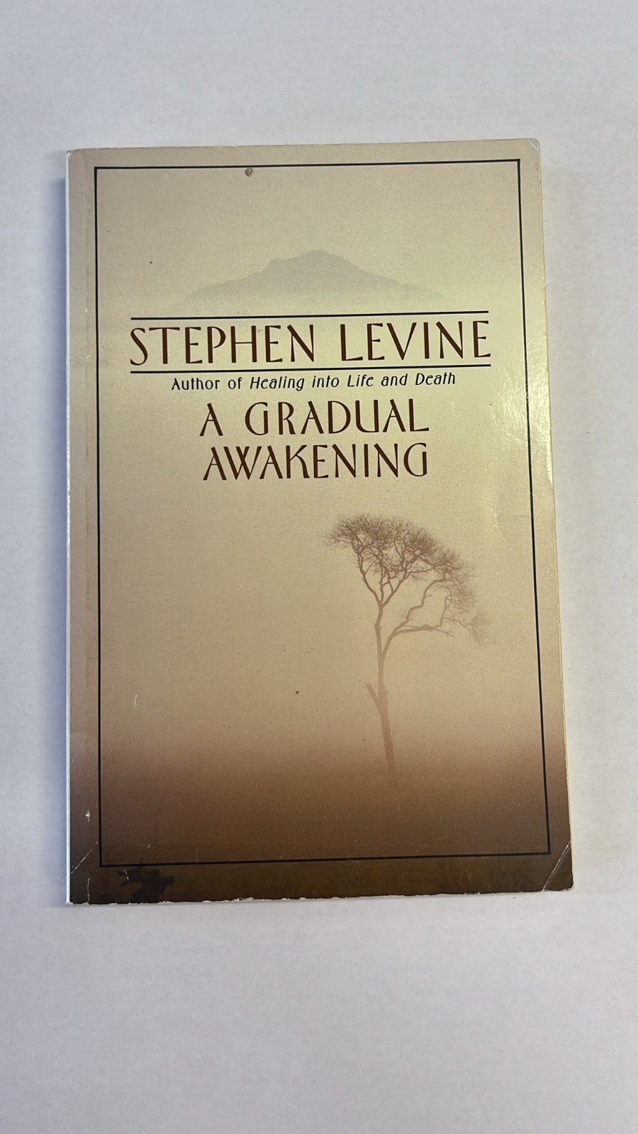 A GRADUAL AWAKENING (1978) USED VERY GOOD KNOPF DOUBLEDAY