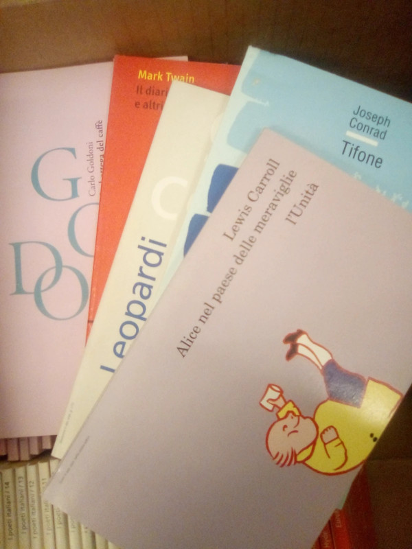 Lotto 10 piccoli libri