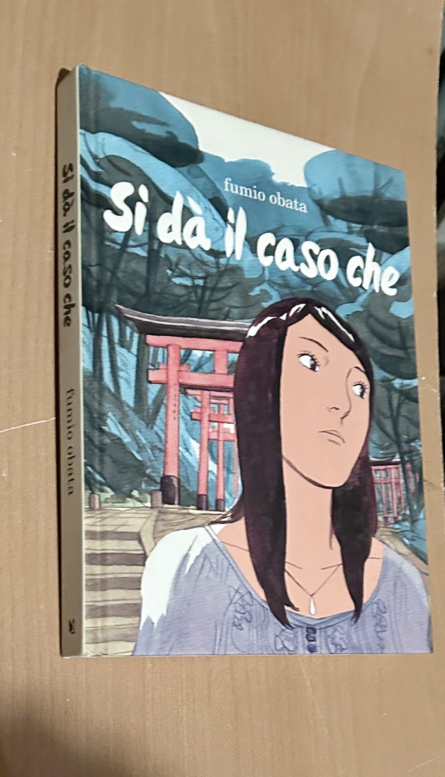 Sì dà il caso che Fumio Obata Bao Publishing manga