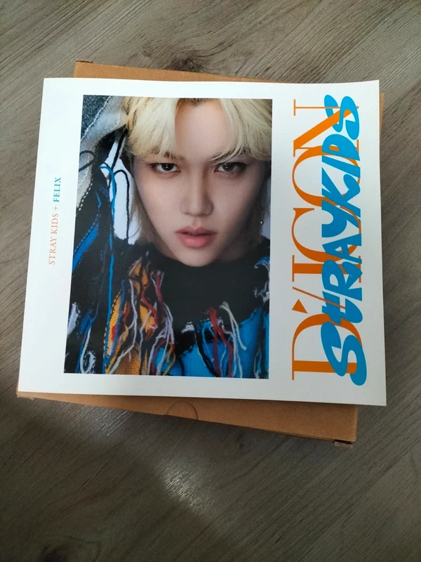 Stray Kids Dicon D'festa mini edición