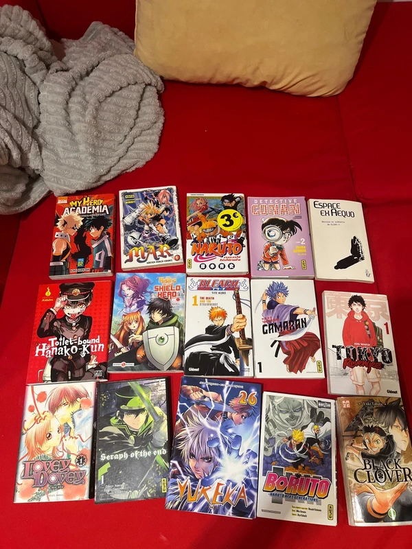Lot de 15 manga différents