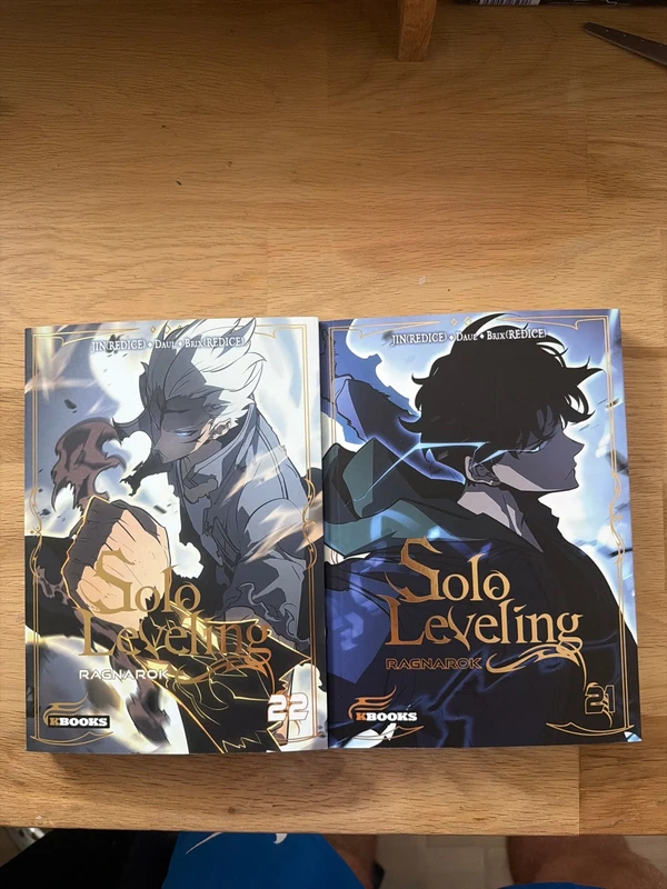 Lot de 2 tome solo leveling