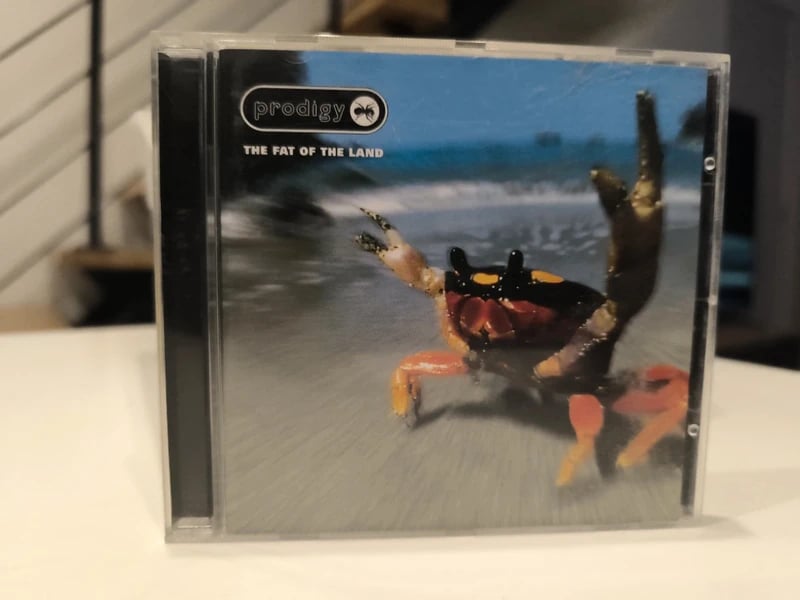 Prodigy the fat of the land