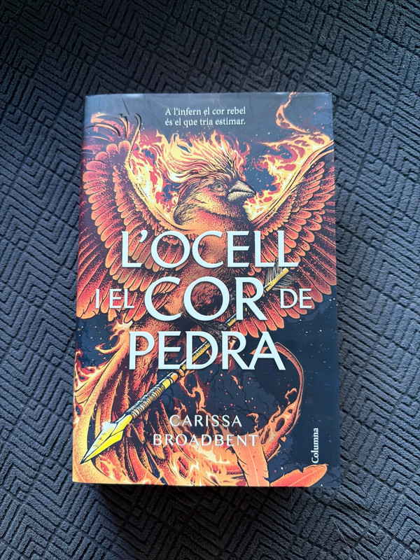 L’ocell i el cor de pedra