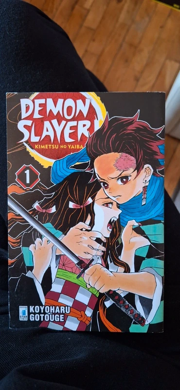 Manga anime Demon slayer vol. 1
