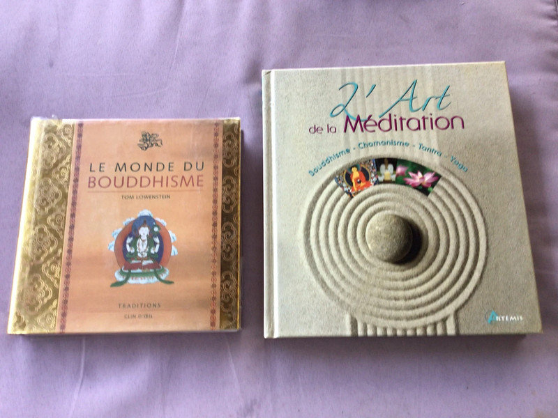 Lot de 2 livres