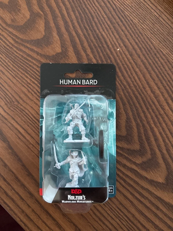 D&D miniature human bard