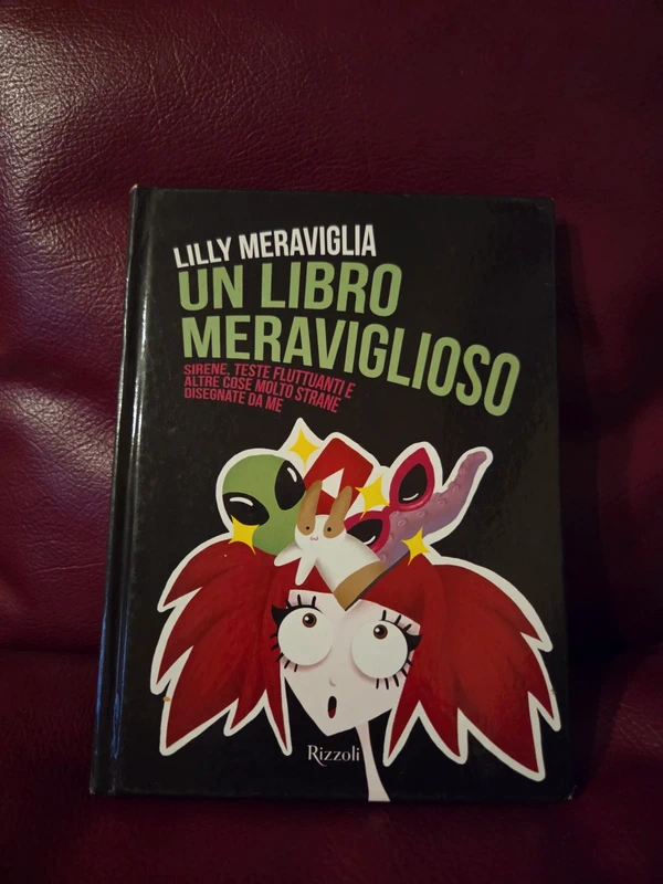 Un libro Meraviglioso di Lilly Meraviglia